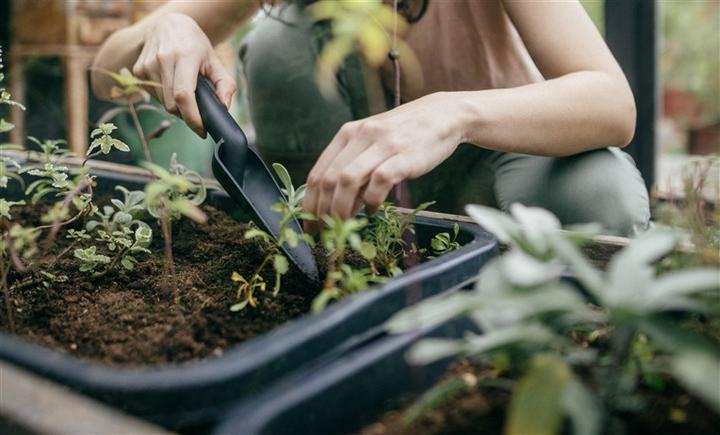 Actual product image Fiskars Solid planting trowel (black/orange)