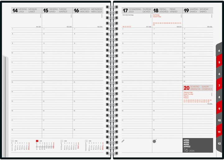 Actual product image Ridoide Studioplan intl. Wire-O 2026 702303680 1W/2S grau ML 16.8x24cm (A4, 1 week / 2 pages)