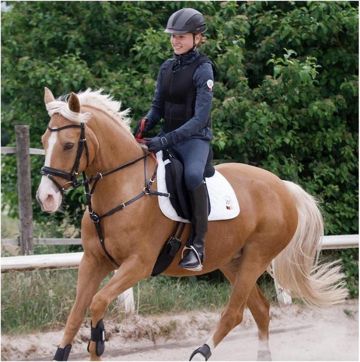 Image du produit Waldhausen Pré-harnais avec BOUCLE DE SÉCURITÉ SECUTRUST