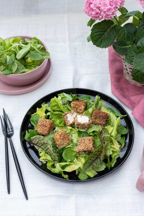 Actual product image Mäser Alenia (16 pcs.)