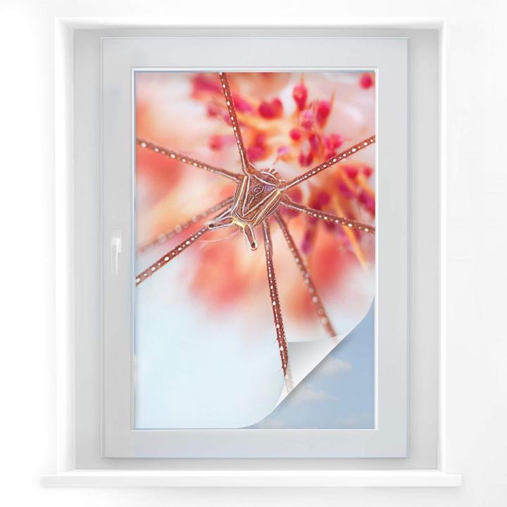 Image du produit Trenddeko Exotisme sous-marin (30 x 45 cm)