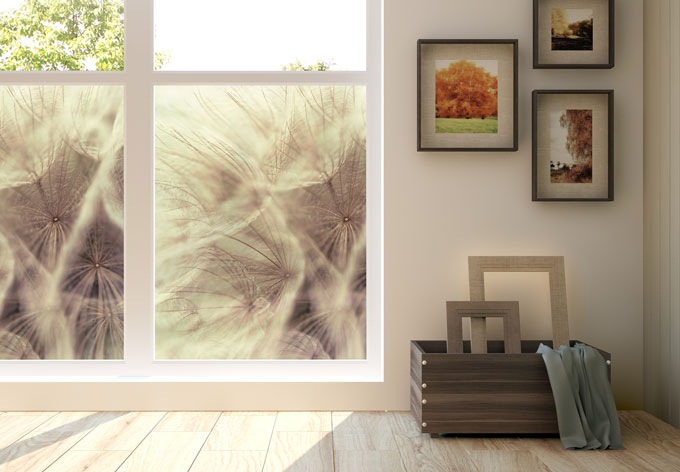 Produktbild Trenddeko Pusteblume Close up (40 x 40 cm)