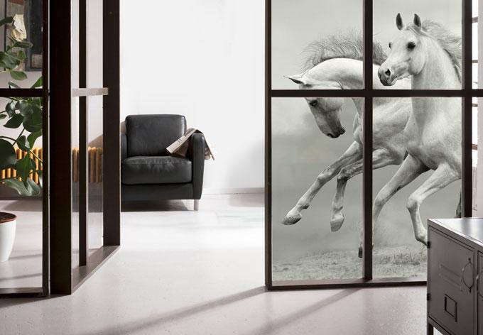 Produktbild Trenddeko Pferde im Galopp (45 x 30 cm)