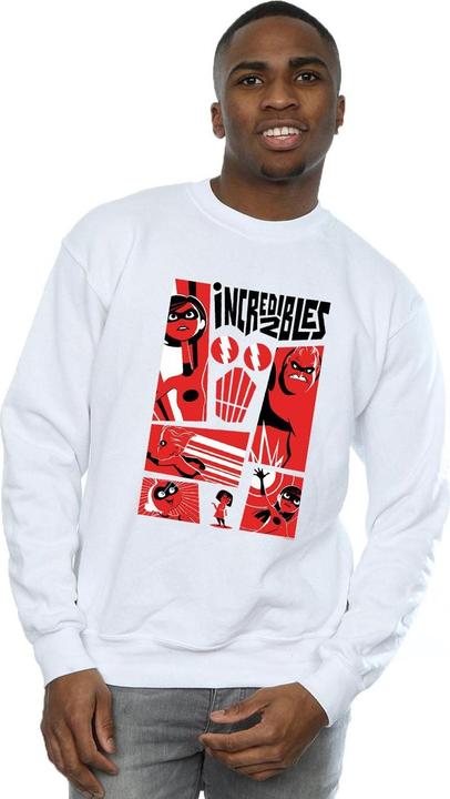 Actual product image Mens Collage Sweatshirt (XL)