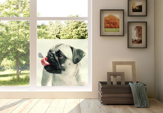Actual product image Trenddeko Animal affection (30 x 45 cm)