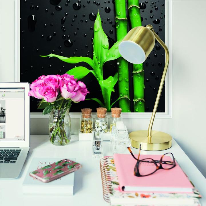 Immagine prodotto Trenddeko Bambù su nero (50 x 50 cm)