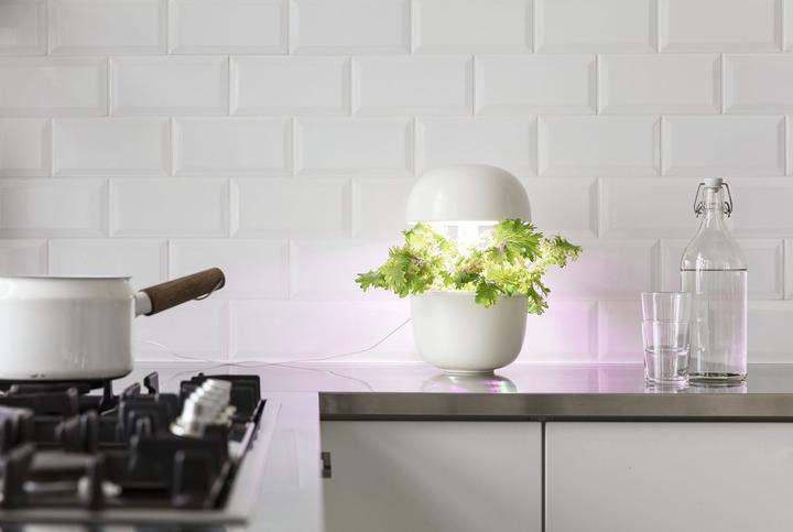 Produktbild Plantui Smart Garden 3e (Keimlinge)