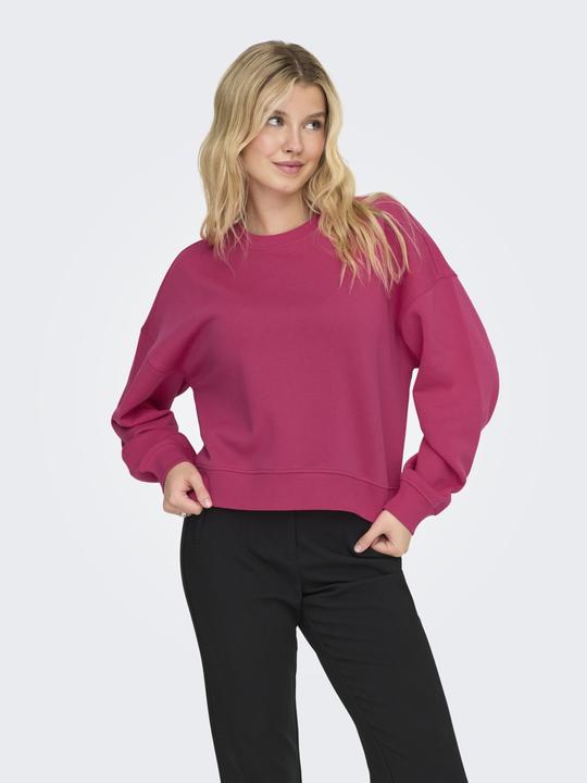 Actual product image Only Onlbest L/S Crew Neck Swt Noos (L)