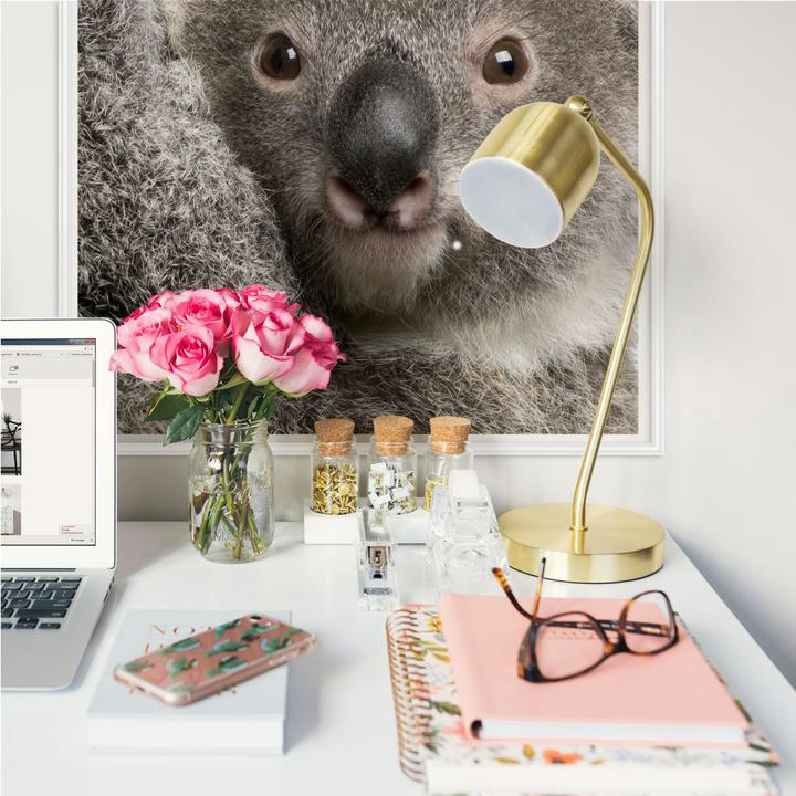 Immagine prodotto Trenddeko Koala coccolone (70 x 70 cm)