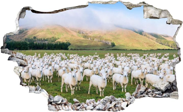 Produktbild Trenddeko 3D - Schafherde in Neuseeland (120 x 73 cm)