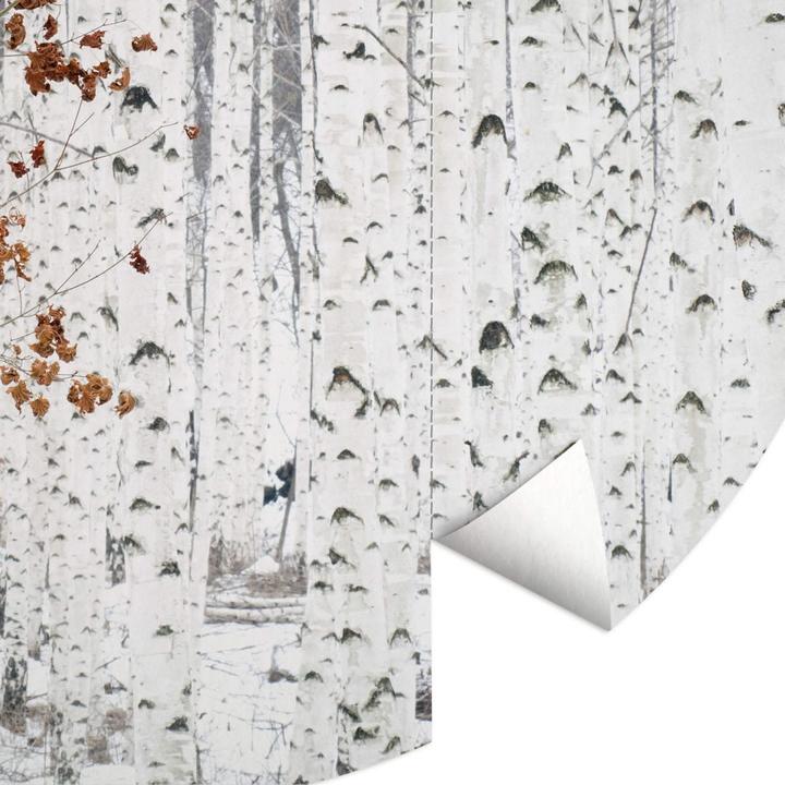 Actual product image Trenddeko birch forest (188 cm)