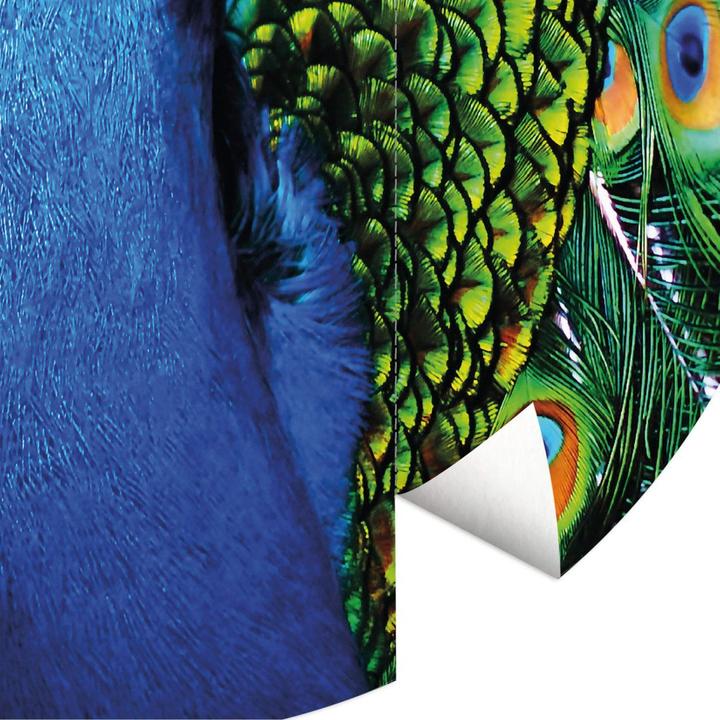 Image du produit Trenddeko Beau Paon (140 cm)