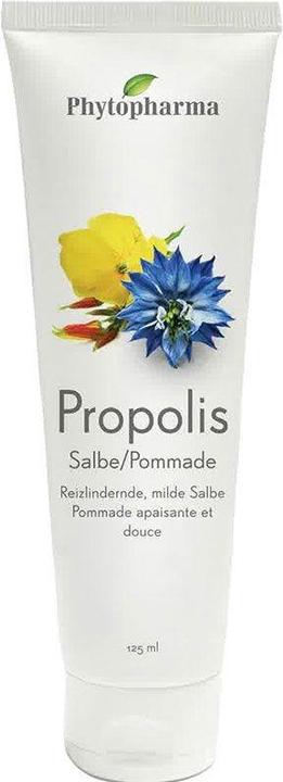 Actual product image Phytopharma Propolis comp. ointment 12 (Body cream, 125 ml)