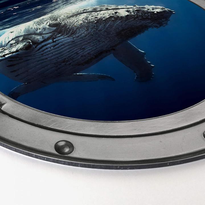 Immagine prodotto Trenddeko Oblò in 3D - Megattera in immersione (Ø 20 cm)