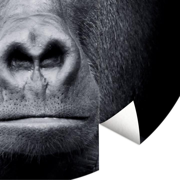 Actual product image Trenddeko gorilla (Ø 284 cm)