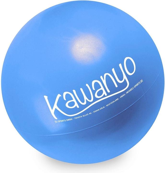 Immagine prodotto Kawanyo Mobility Ball (22 cm)