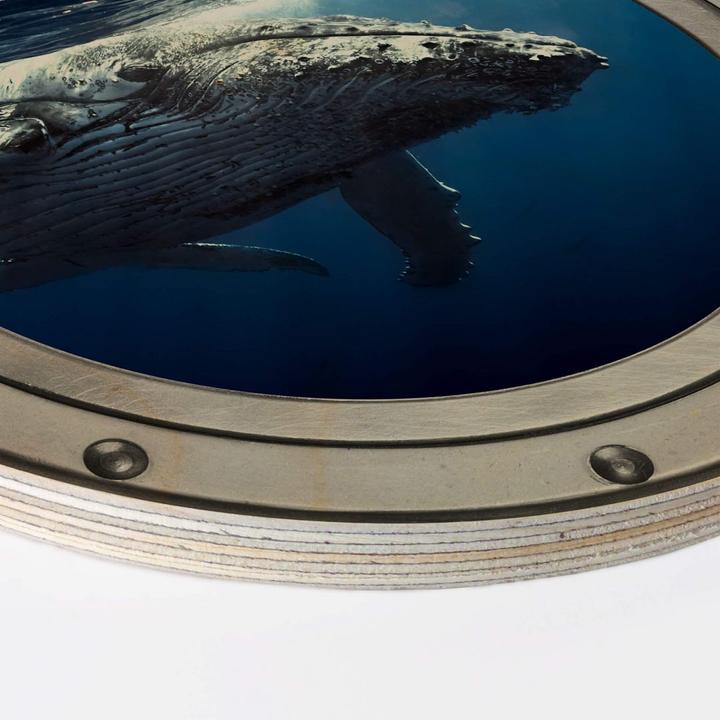 Immagine prodotto Trenddeko Oblò in 3D - Megattera in immersione (Ø 20 cm)