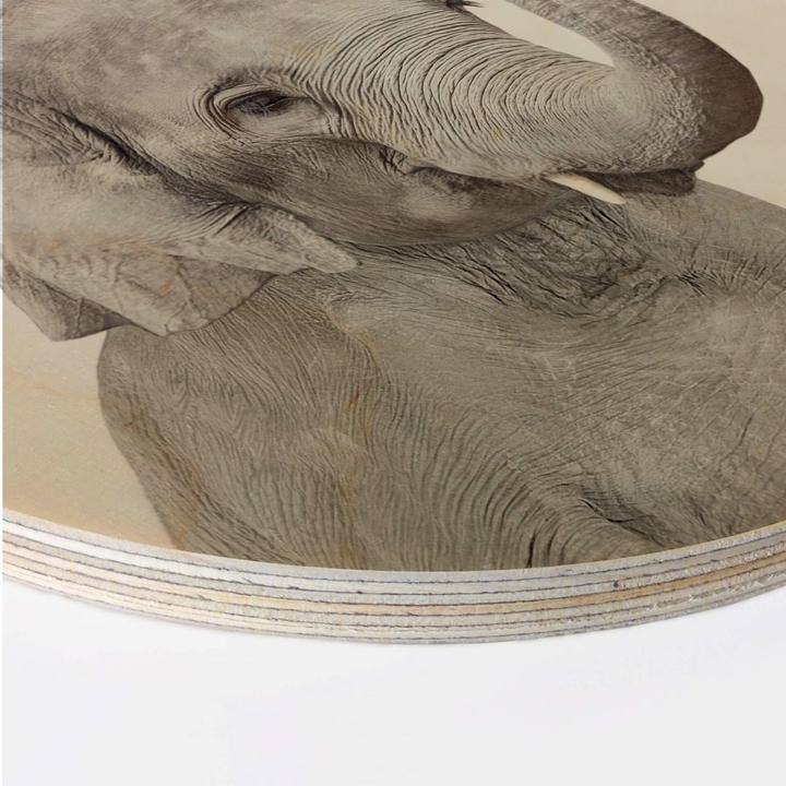 Produktbild Trenddeko Baby Elefant (30 x 30 cm)