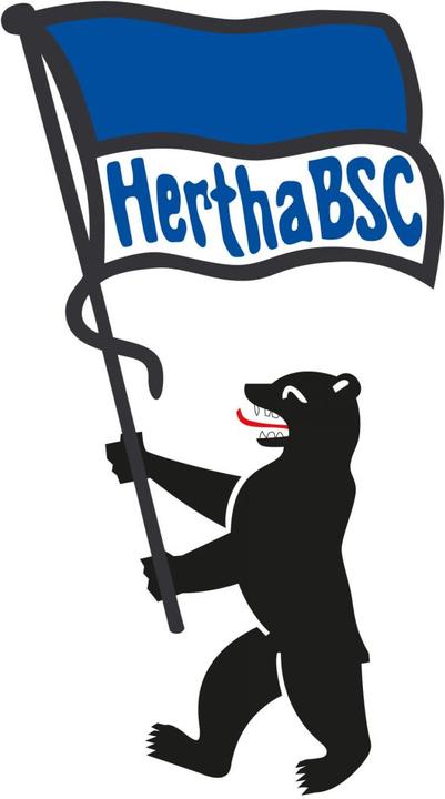 Actual product image Hertha BSC Berlin bear & Hertha flag (40 x 40 cm)