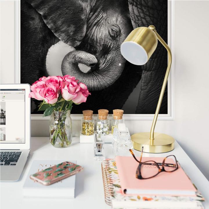 Image du produit Trenddeko Le bébé éléphant (70 x 70 cm)