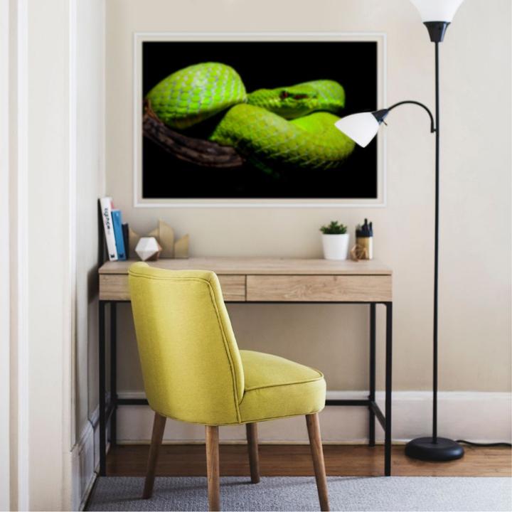 Produktbild Trenddeko Hakonsen - Die grüne Pit-Viper (30 x 20 cm)
