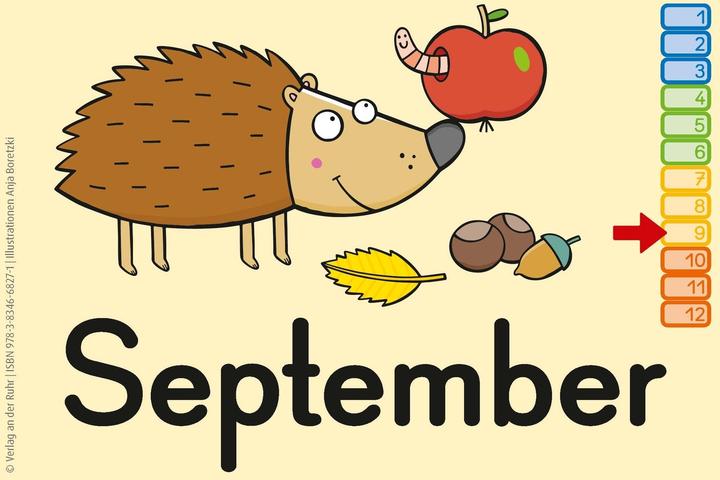 Produktbild Der neue Universal-Kalender, ab 2025 (A6, Deutsch)