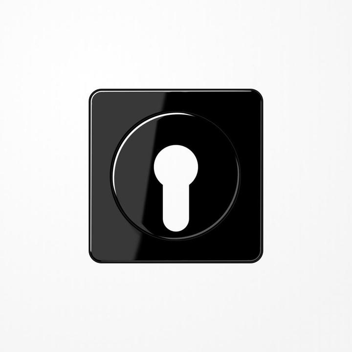 Actual product image JUNG Key/ad switch CD sw glz CD528SW