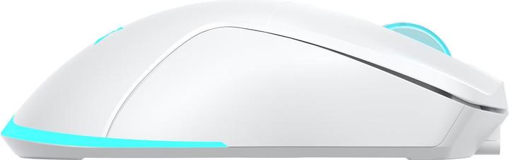 Produktbild Baracuda BGM-122 Schildkröte Weiss (Kabellos)