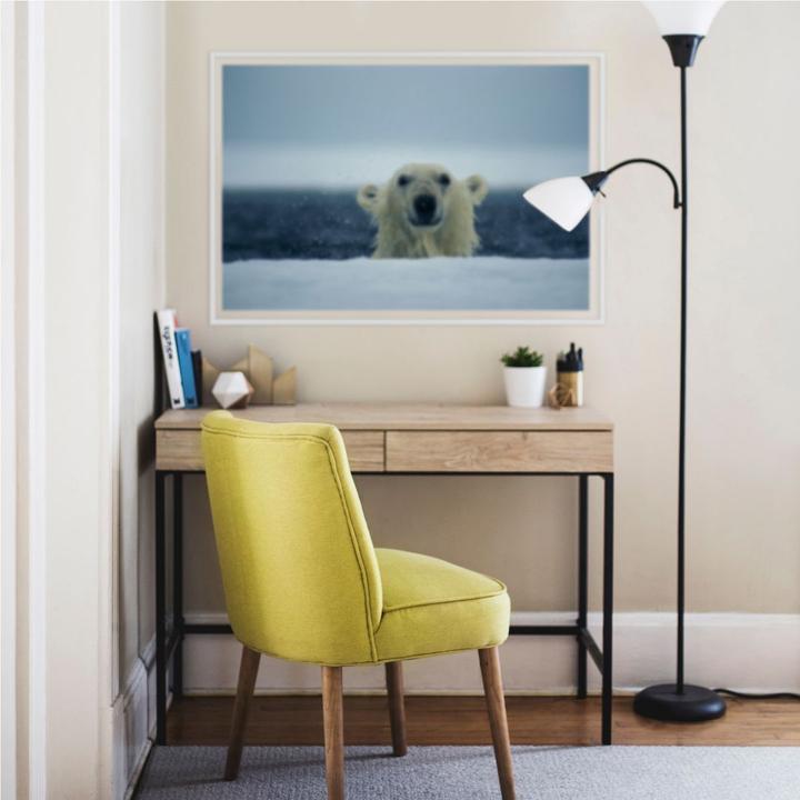 Actual product image National Geographic NG Cheeky Polar Bear (60 x 40 cm)