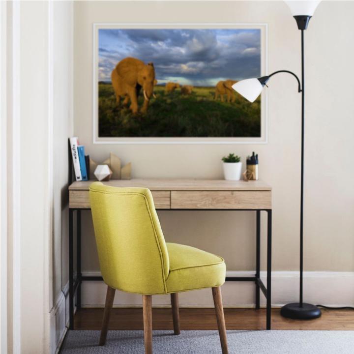 Actual product image National Geographic NG Herd of elephants (100 x 66 cm)