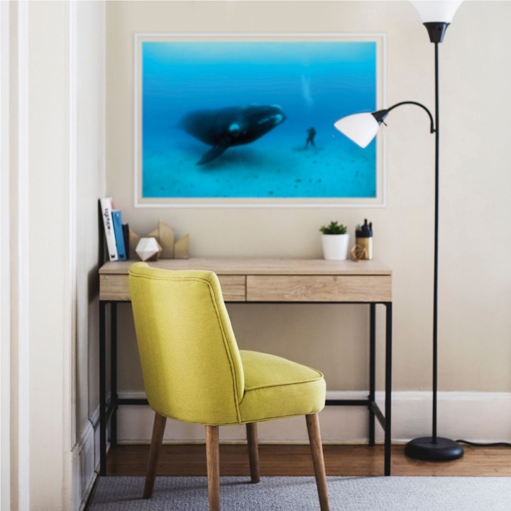 Produktbild National Geographic NG Wal mit Taucher (60 x 40 cm)