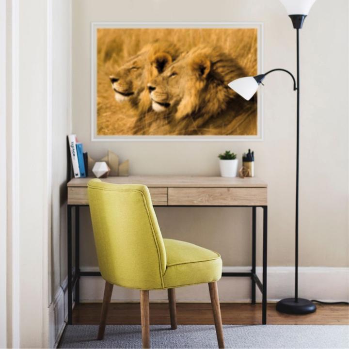 Immagine prodotto National Geographic NG Coppia di leoni (60 x 40 cm)