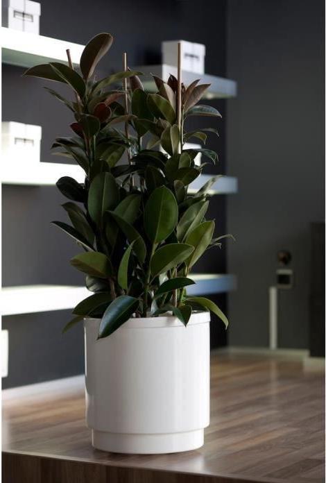 Productafbeelding Plastiken Zelfwaterende bloempot wit (Ø 22 cm)