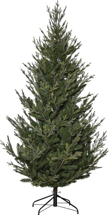 Produktbild Star Trading Uppsala (210 cm)