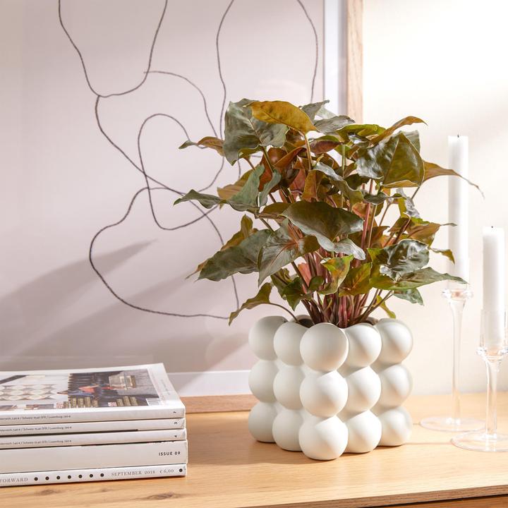 Produktbild home24 Bubble (12 x 12 x 12 cm)