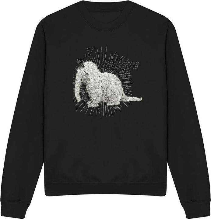 Produktbild Sesame Street I Believe Sweatshirt (M)