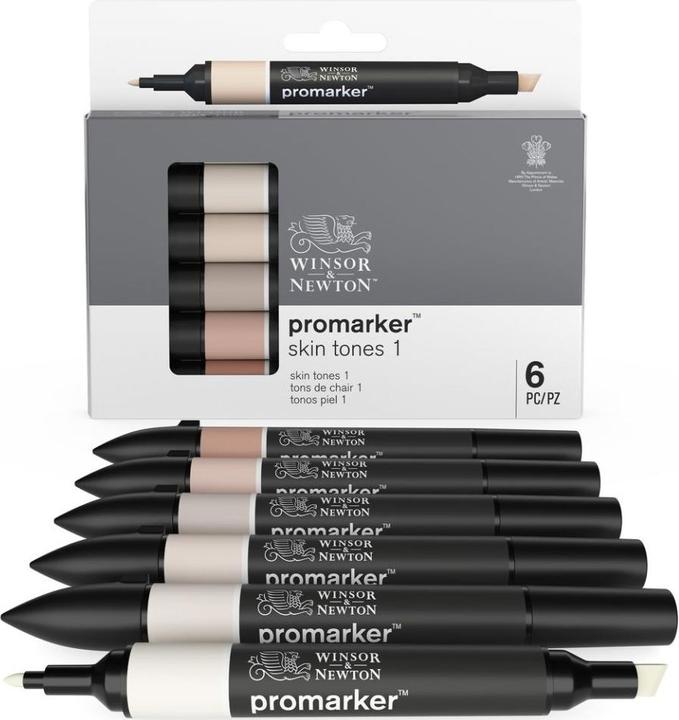 Image du produit Winsor & Newton 0290114 ProMarker, Marqueur de mise en page professionnel - 2 pointes, fine et large pour Zeic (Noir, 6 x)