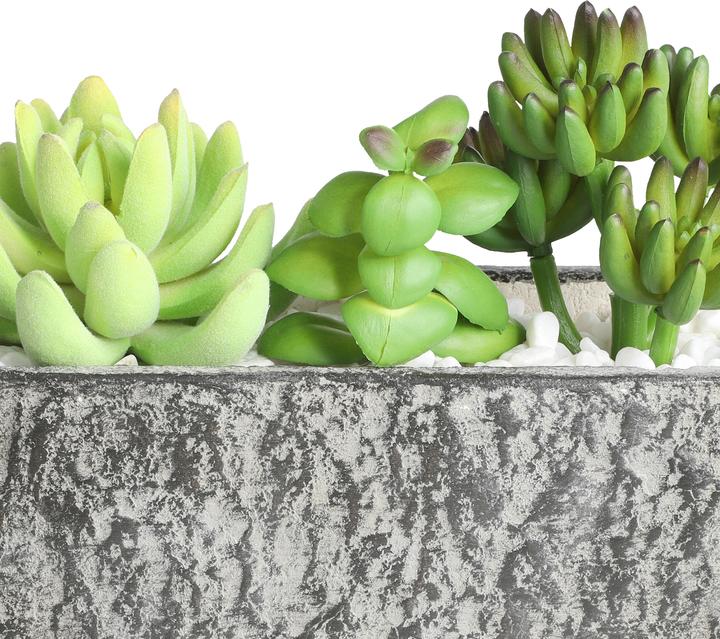 Immagine prodotto EGLO CHITOSE - Pianta artificiale succulenta (14.50 cm)