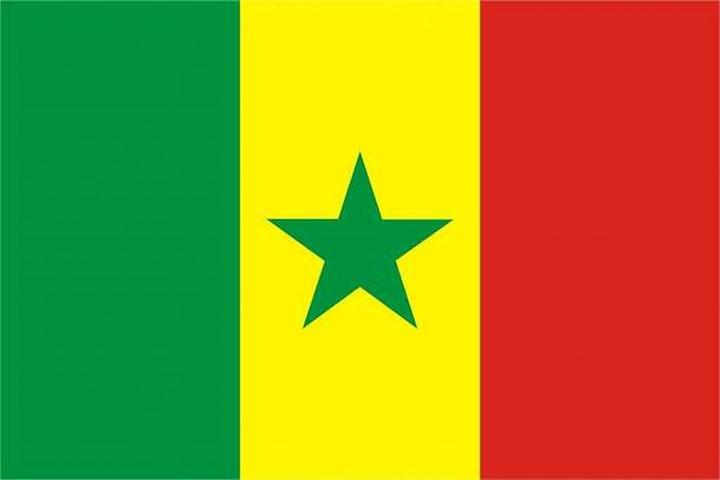 trends4cents Drapeau XXL Sénégal 250 x 150 cm (250 x 150 cm)