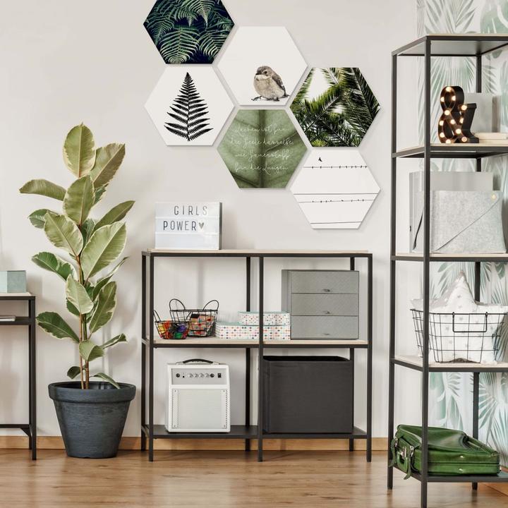 Immagine prodotto Trenddeko Felce (55 x 47 cm)