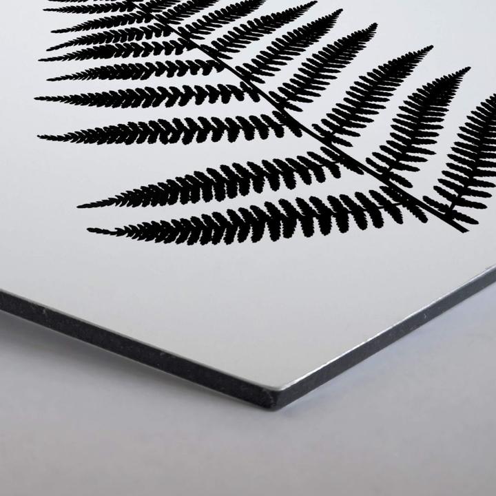 Immagine prodotto Trenddeko Felce (55 x 47 cm)