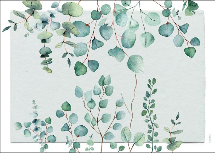 Image du produit Trendform Eucalyptus (12 pcs, 42 x 30 cm)