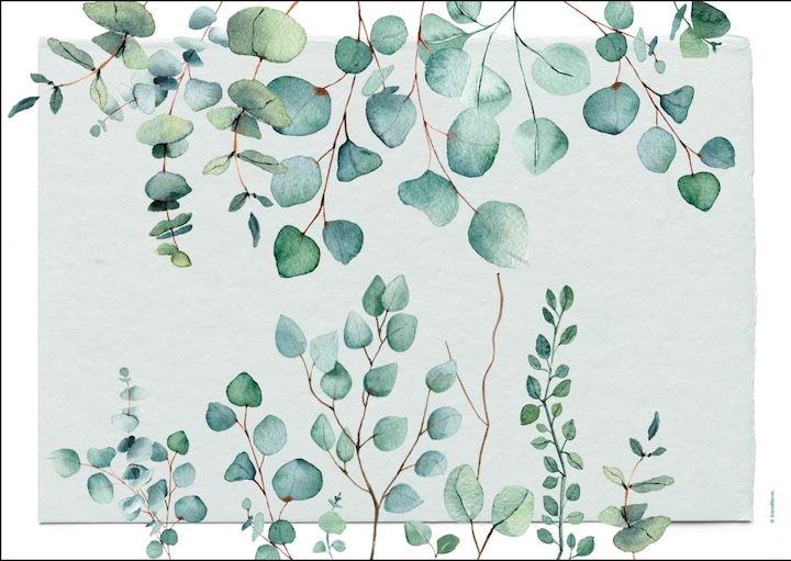Image du produit Trendform Eucalyptus (48 x, 42 x 30 cm)