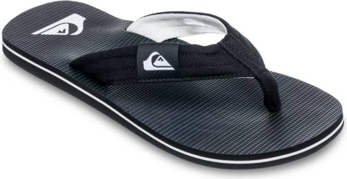 Quiksilver Molokai Layback Ii