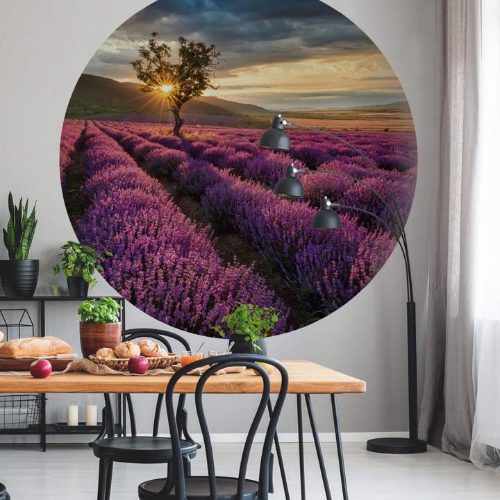 Produktbild Trenddeko Lavendelblüte in der Provence (236 cm)
