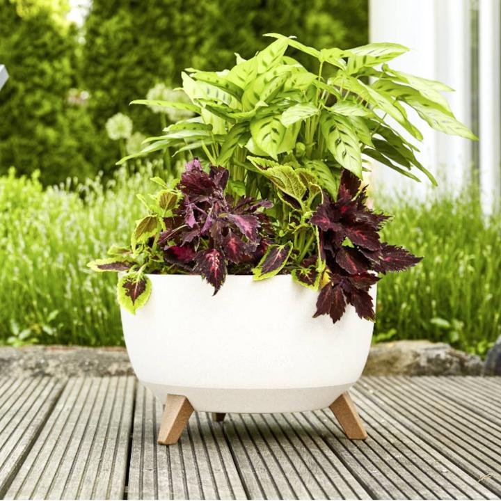 Produktbild Siena Garden Oslo (47 cm)