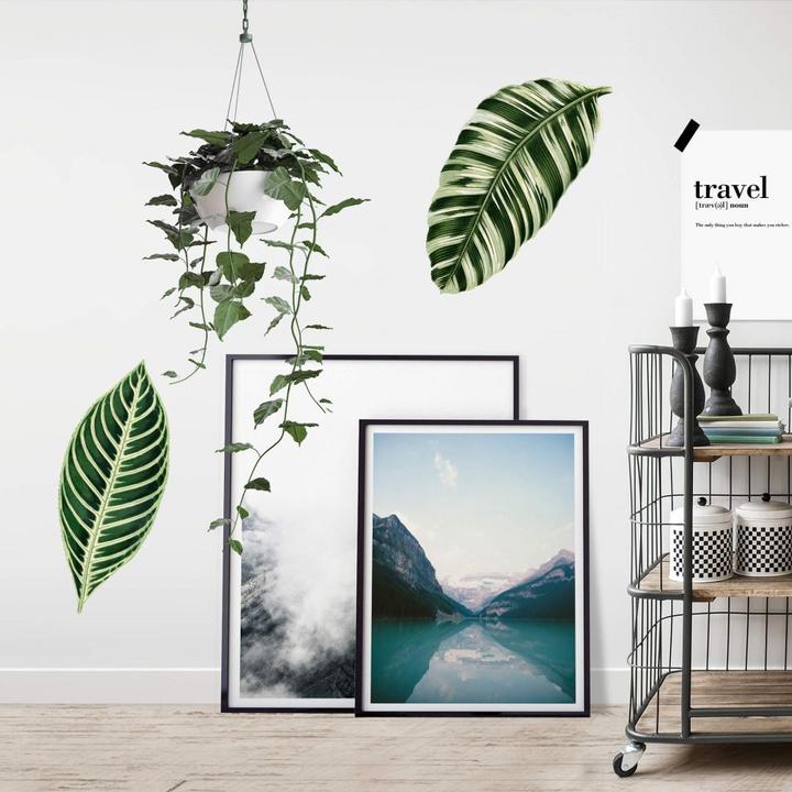 Actual product image Trenddeko Botanical Leaves (18 x 20 cm)
