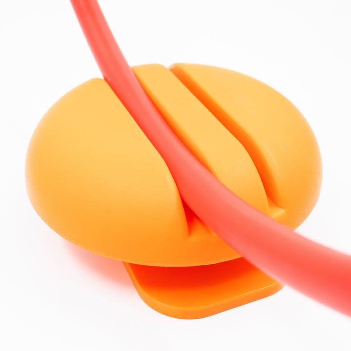 Image du produit Spordas Porte-pneus pour espaliers WalliBari