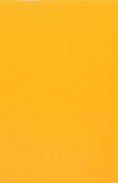 Produktbild Evelatus 3M Universal Matte Color Film for Screen Cutter (Universal)