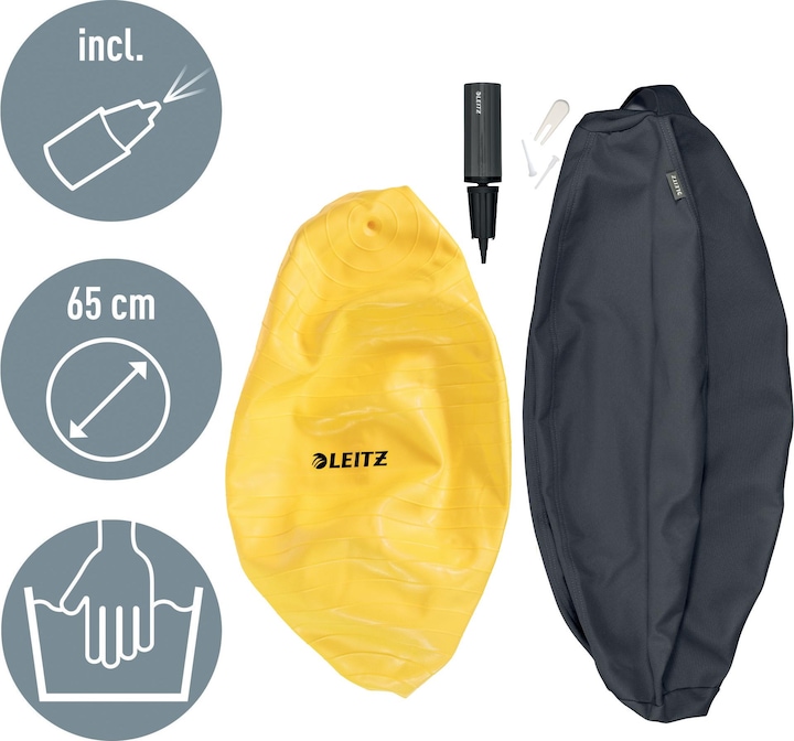 Actual product image Leitz Sitting Ball Ergo Cosy (65 cm)